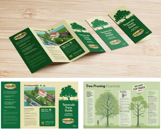 Design that Engages your Audience