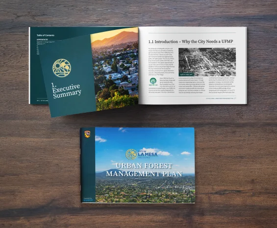 Striking Digital and Print Page Layout